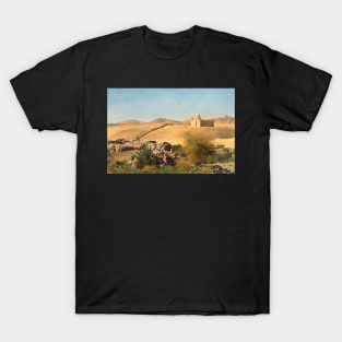 Mausoleum at Aswan T-Shirt